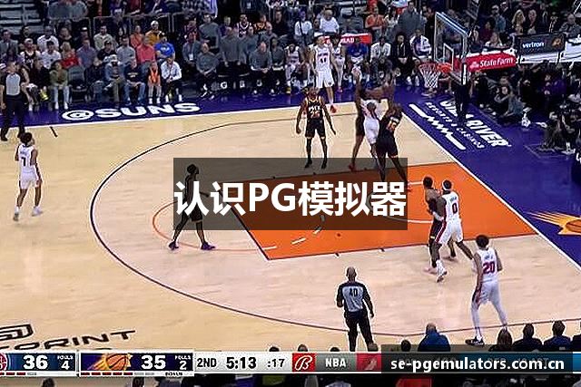 认识PG模拟器
